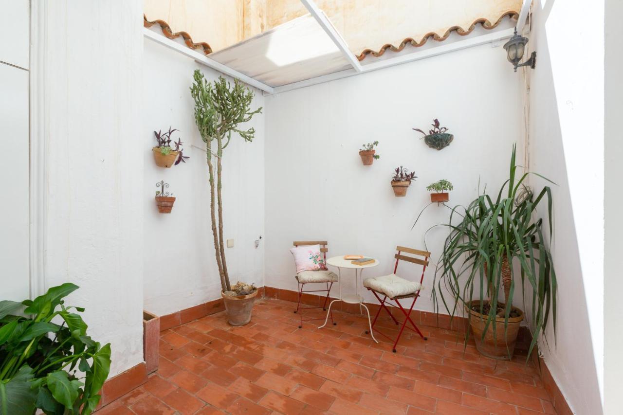 Apartament With Two Bedrooms And A Patio